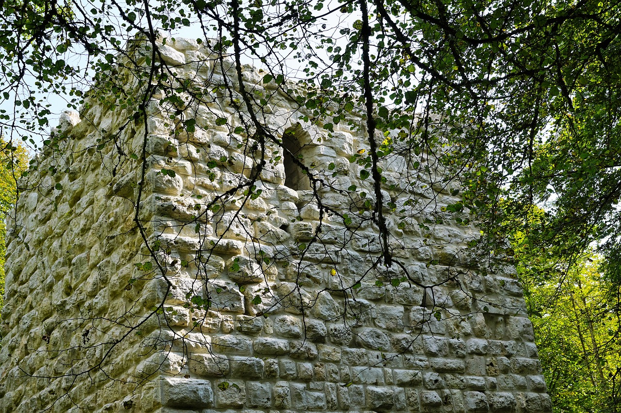 concentrate mountain castle ruin free photo