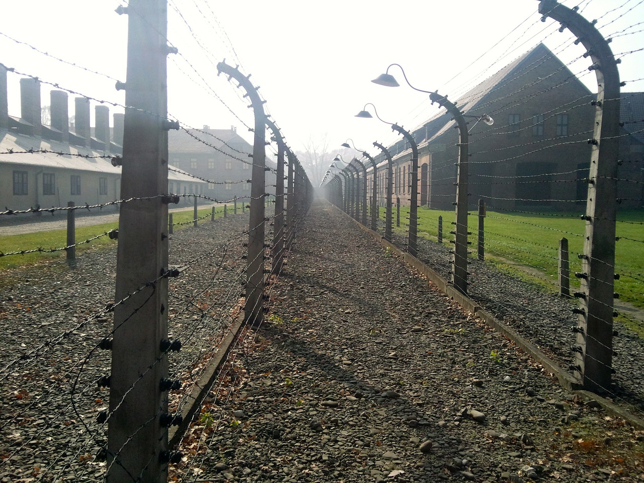concentration camp holocaust auschwitz free photo