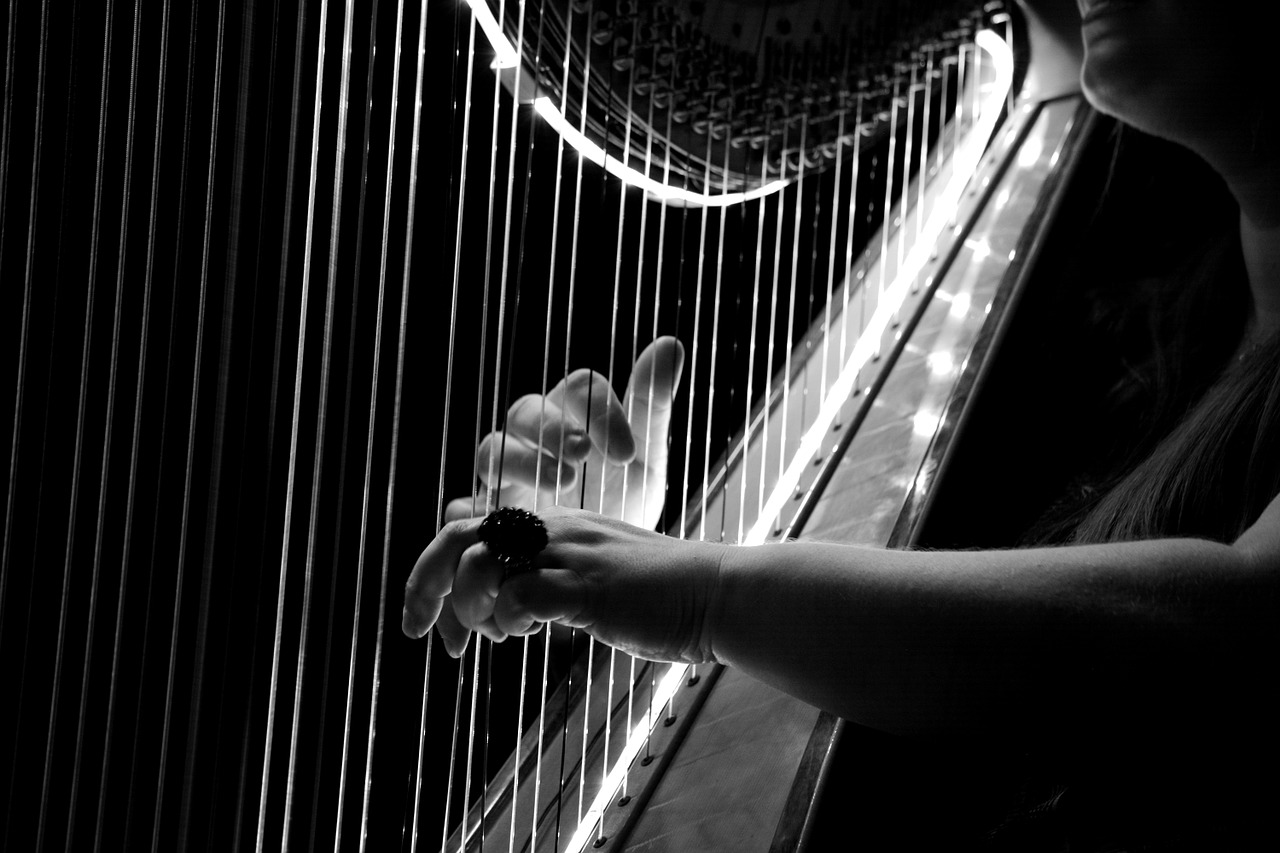 concert harp logo free photo