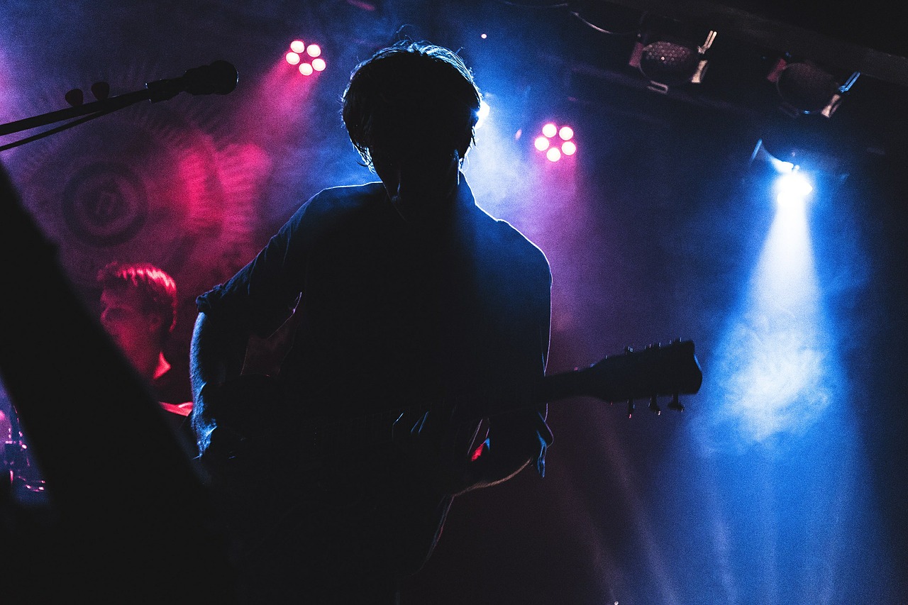 concert colors guitarist free photo