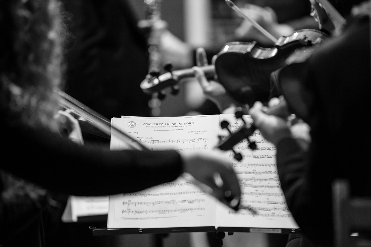 concert sheet music violins free photo