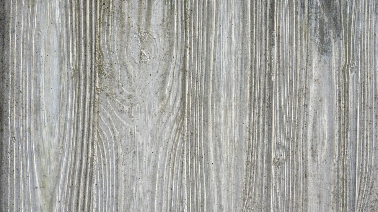 concrete reprint wood free photo