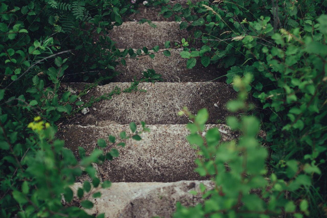 concrete outdoors plants free photo