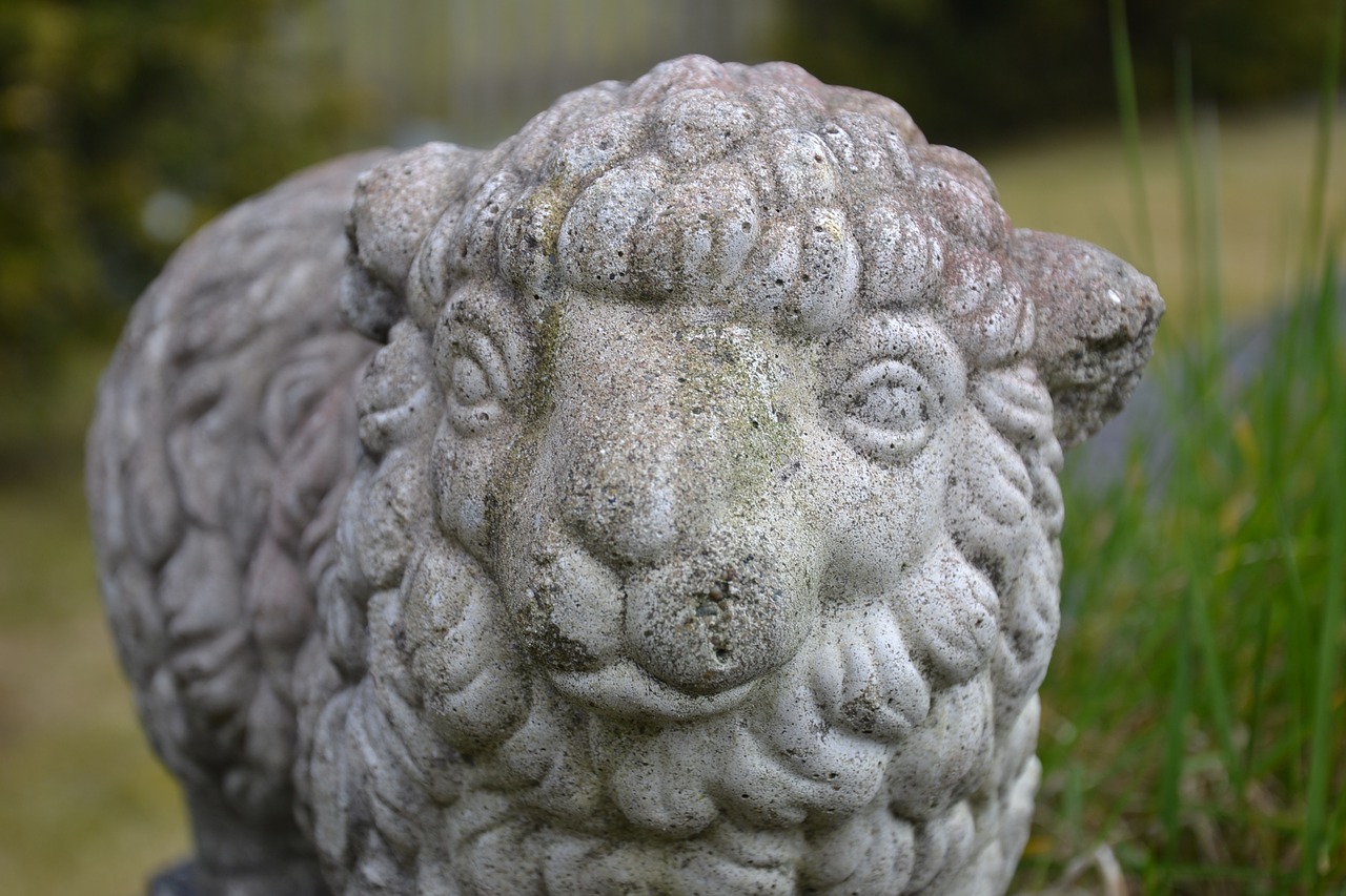 concrete garden lamb free photo