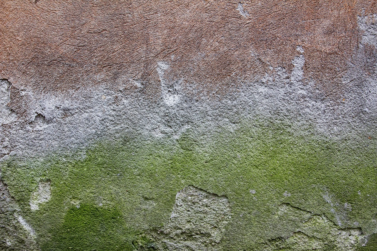 concrete wall texture free photo