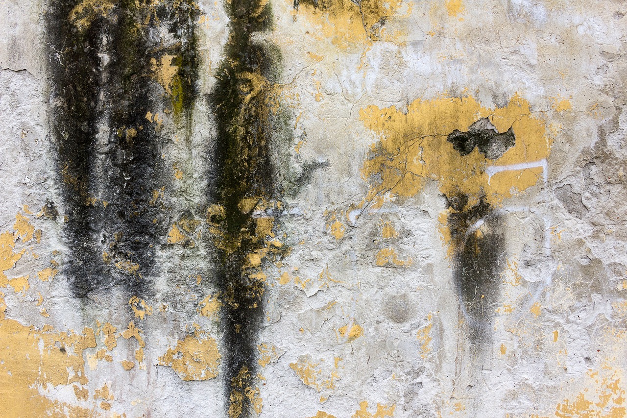 concrete wall texture free photo