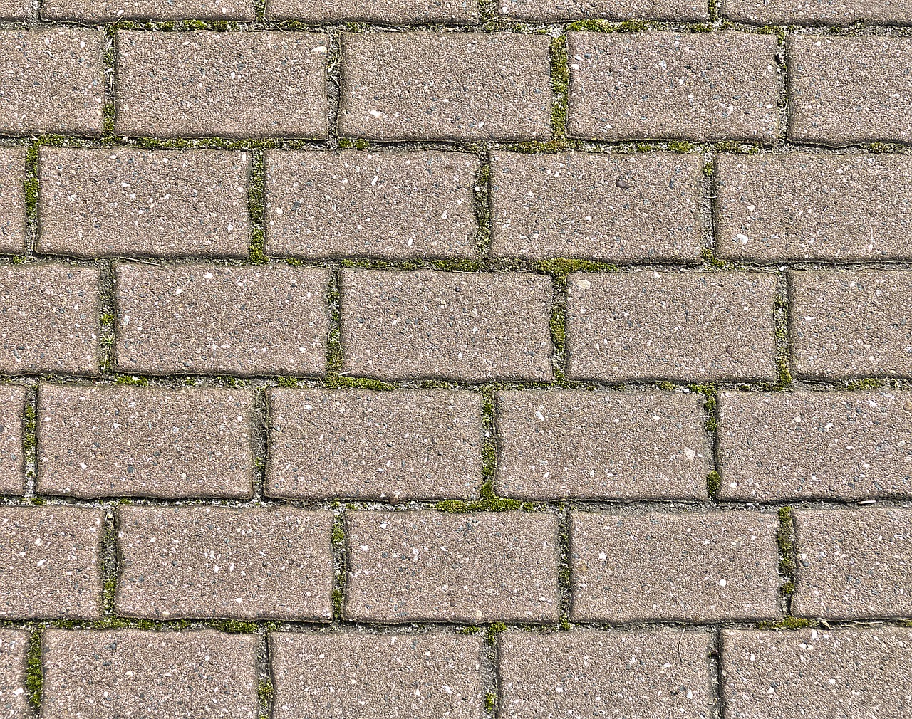 concrete paving paving stones flooring free photo