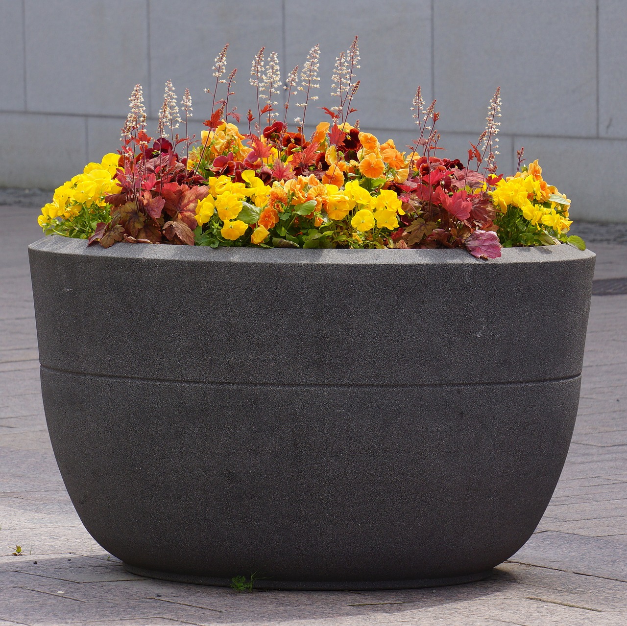 concrete pot flower planting flower free photo