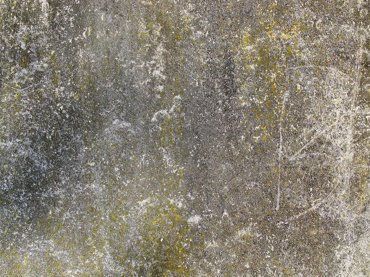 concrete wall background structure free photo