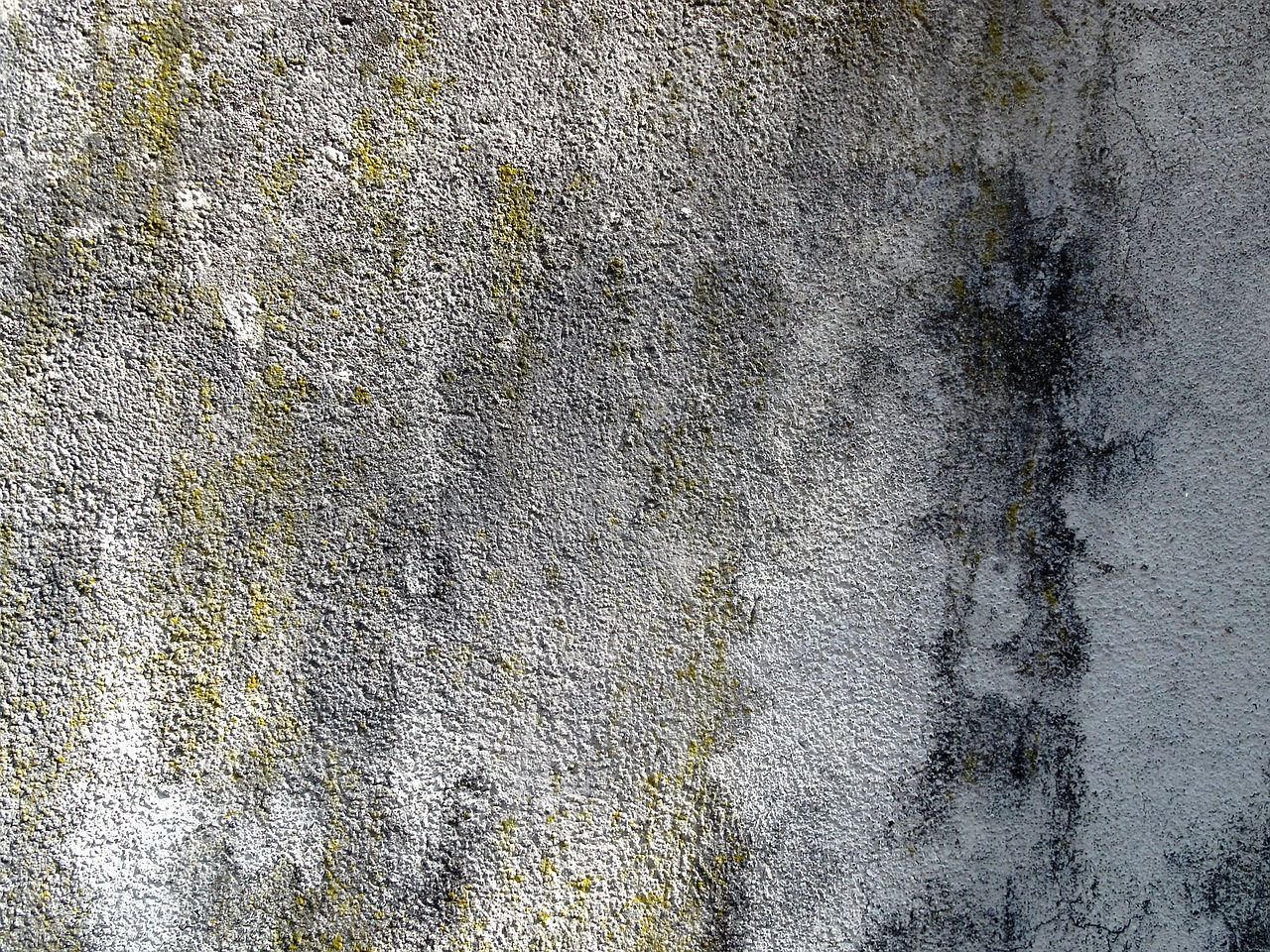 concrete wall background structure free photo