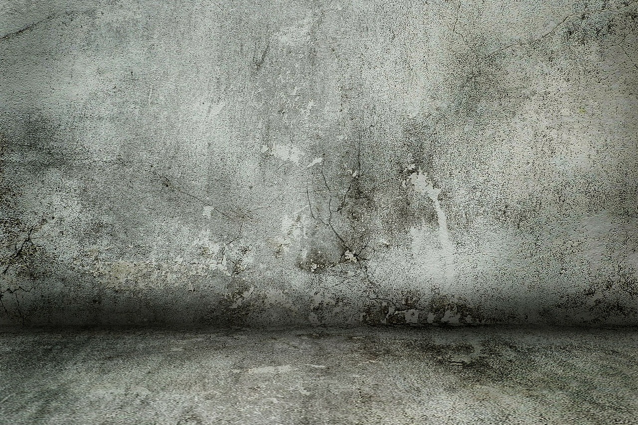 concrete wall wall concrete free photo