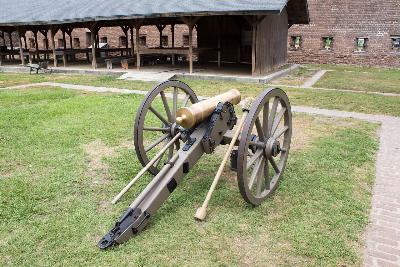 confederate cannon fort james jackson cannon free photo