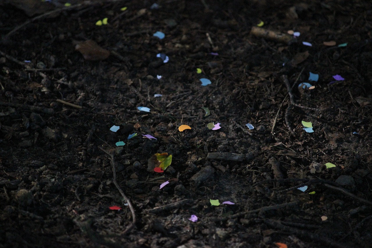 confetti color ground free photo