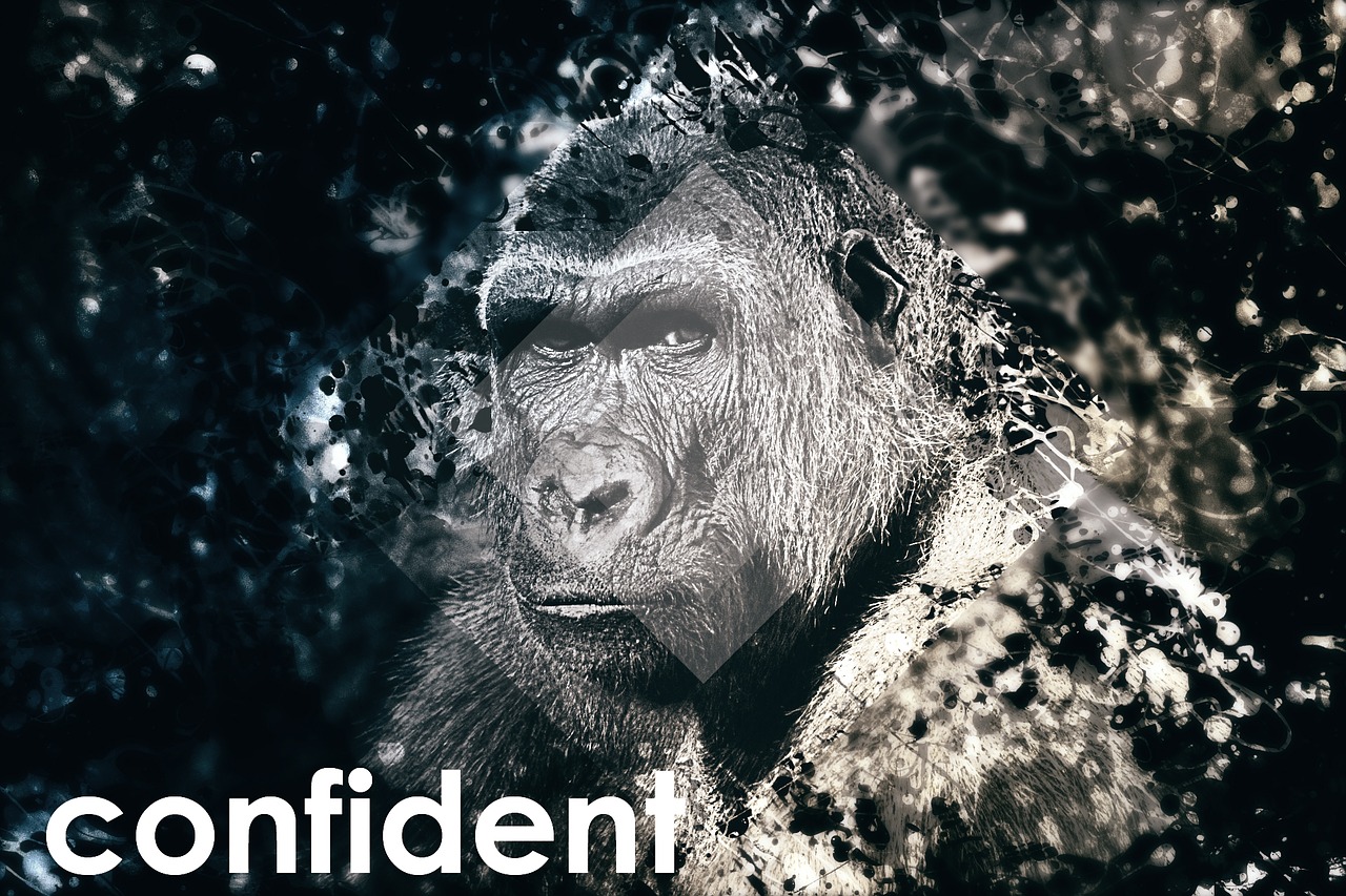 confident self-conscious gorilla free photo