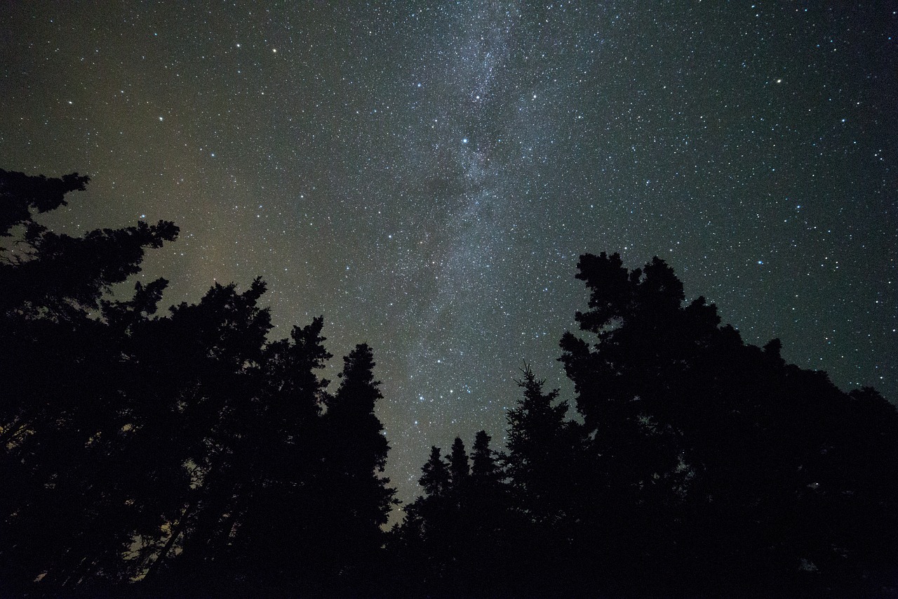 constellation dark evening free photo