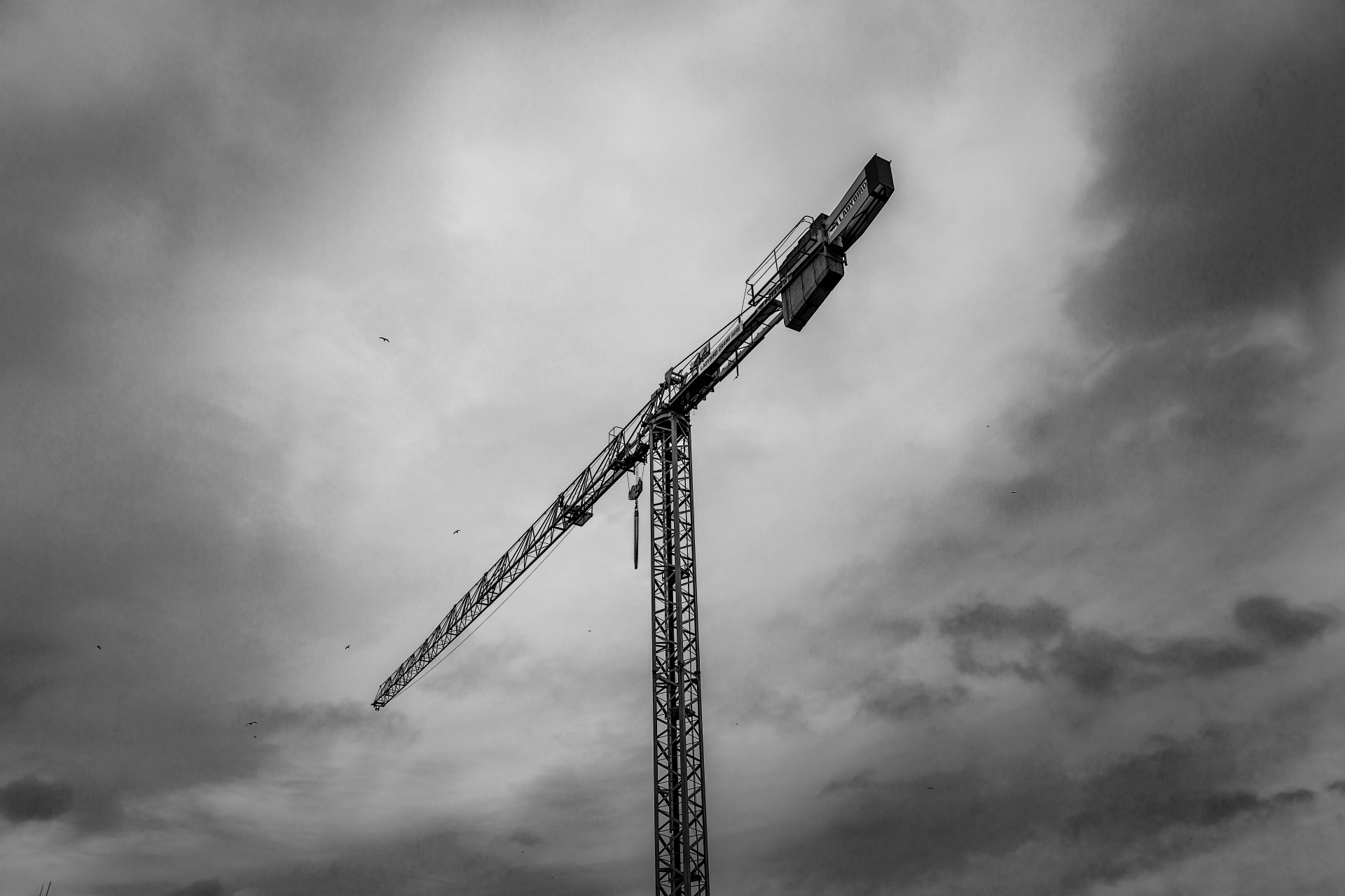 crane tower steel free photo