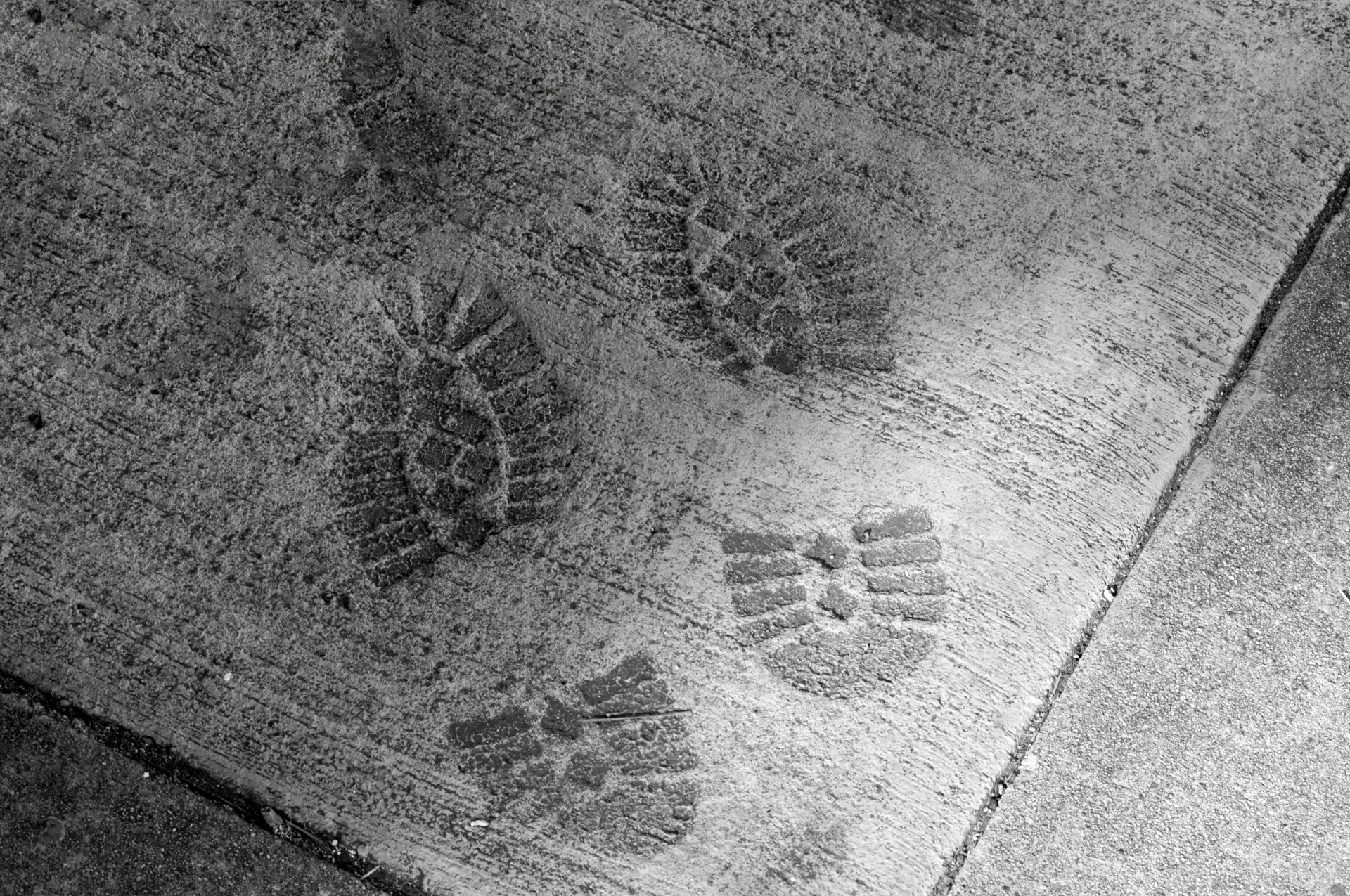 cement footprints black white free photo