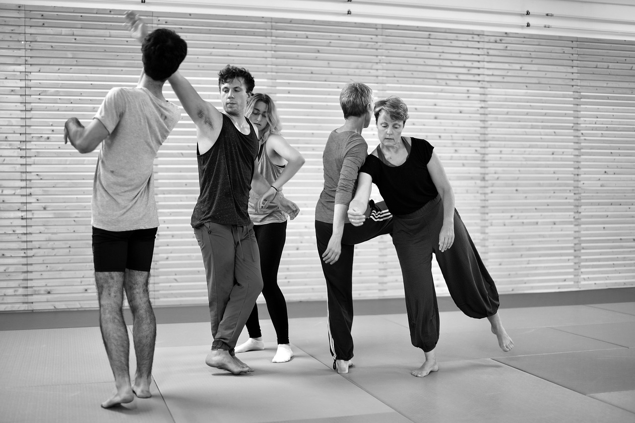 contact improvisation  contact  impro free photo