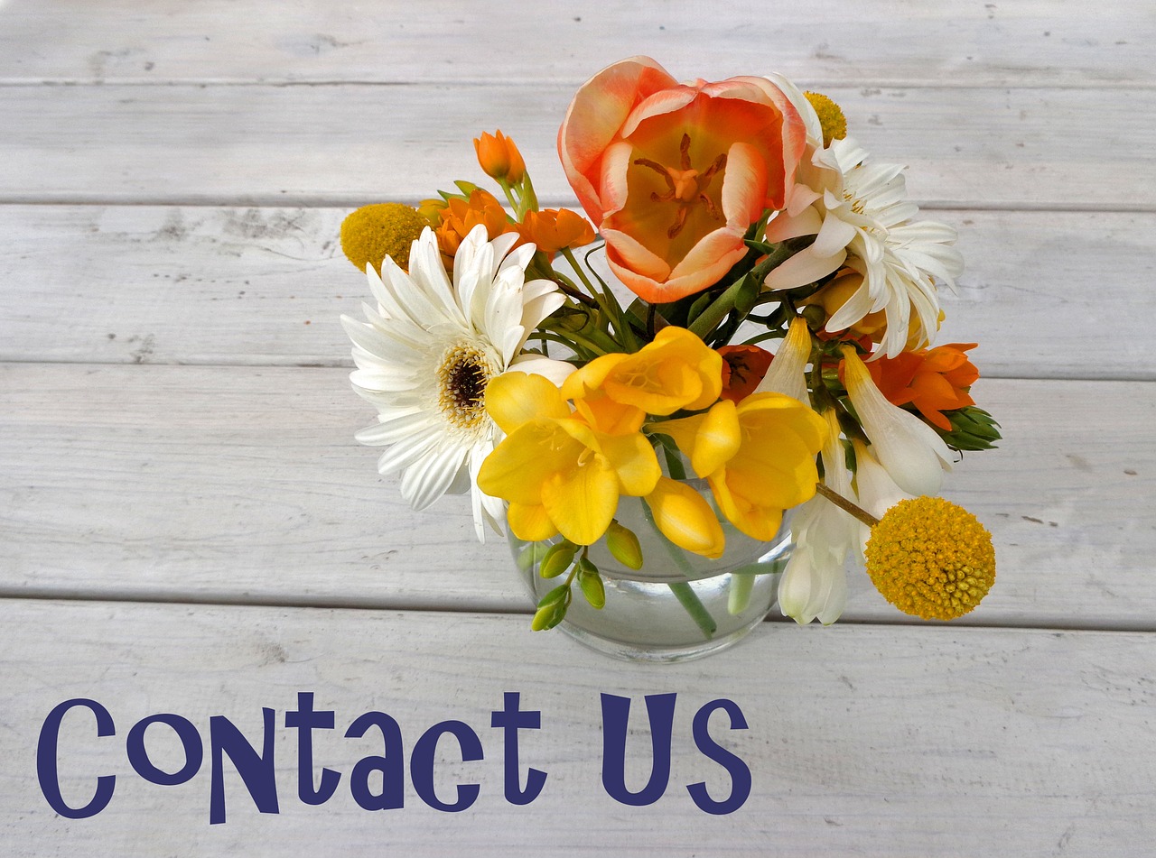 contact us contact friendly free photo
