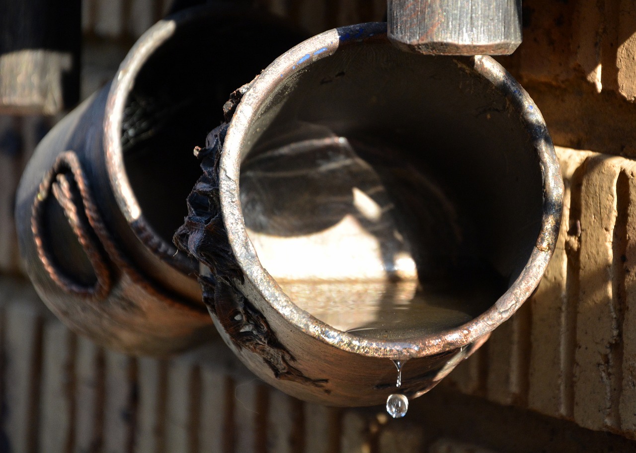 container water drop nature free photo