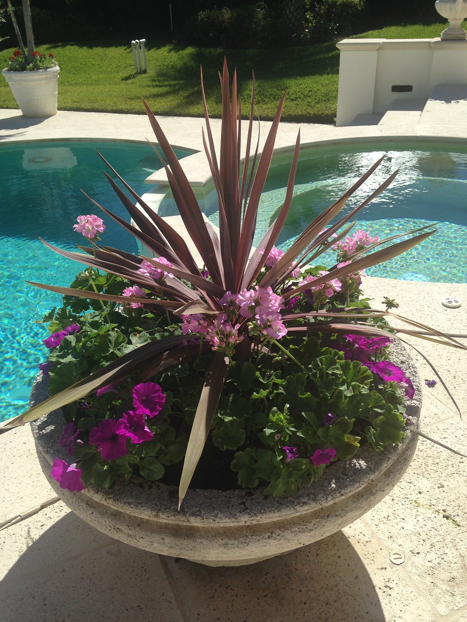 container garden poolside beautiful free photo