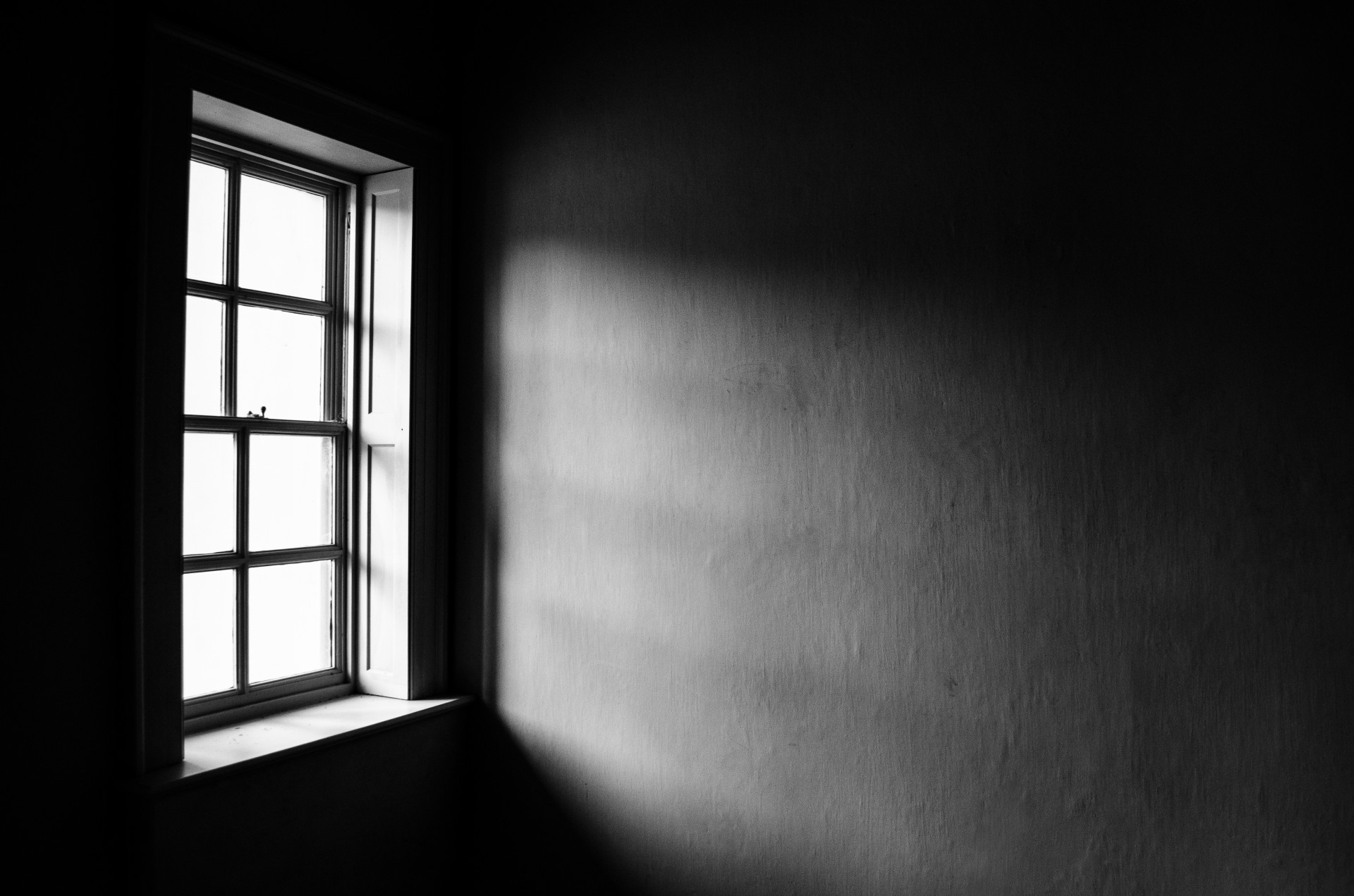 window white black free photo