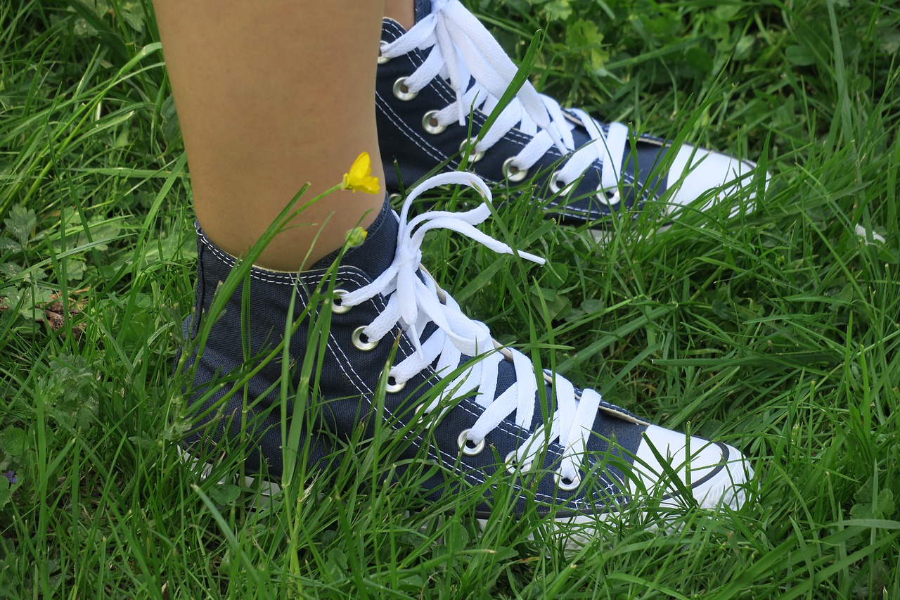 converse  chuck taylor  blue free photo