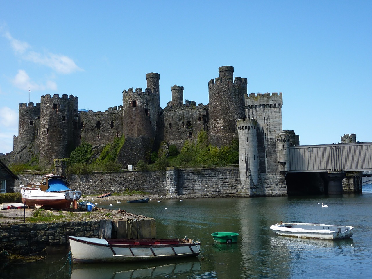 conwy castle  wales  medieval free photo
