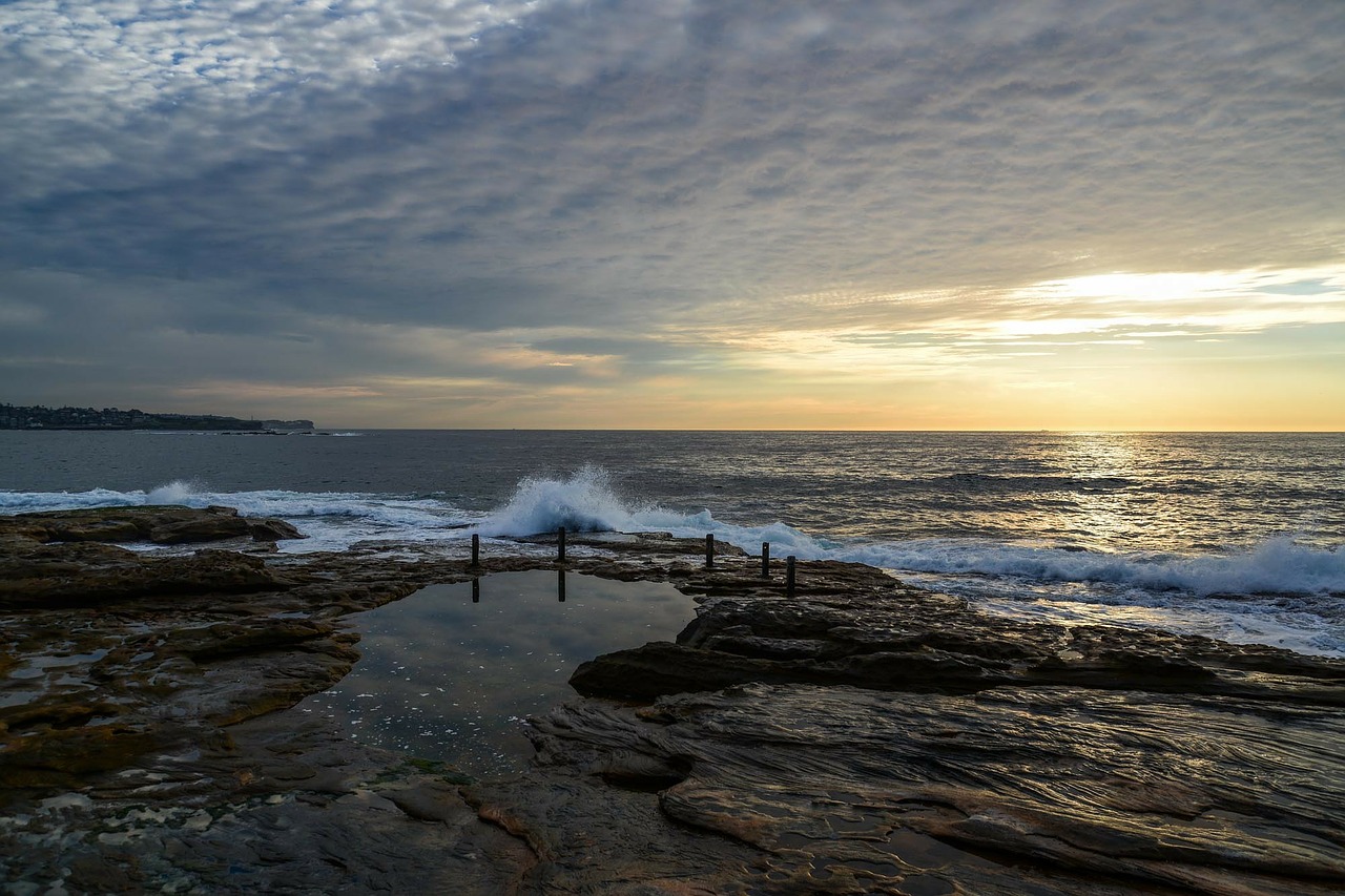 coogee ocean shore free photo