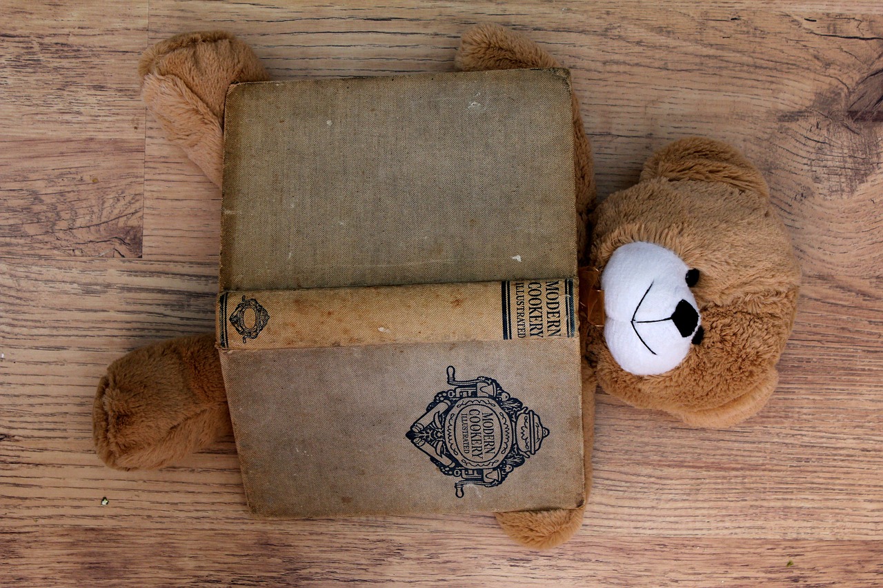 cookbook  teddy  recipe free photo