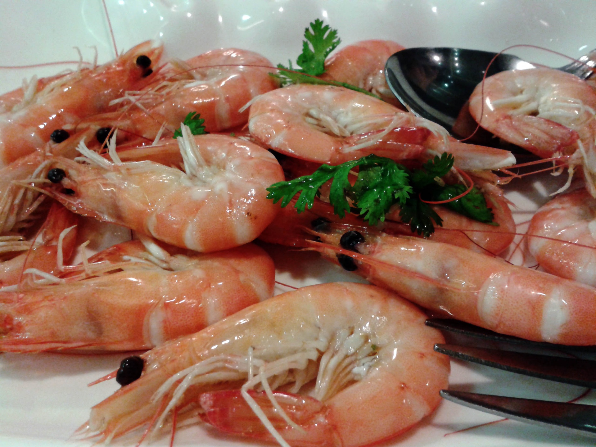 cooked shrimp shrimp steamed shrimp free photo