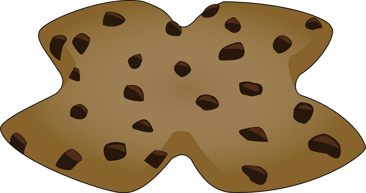 cookie chocolate chip free photo