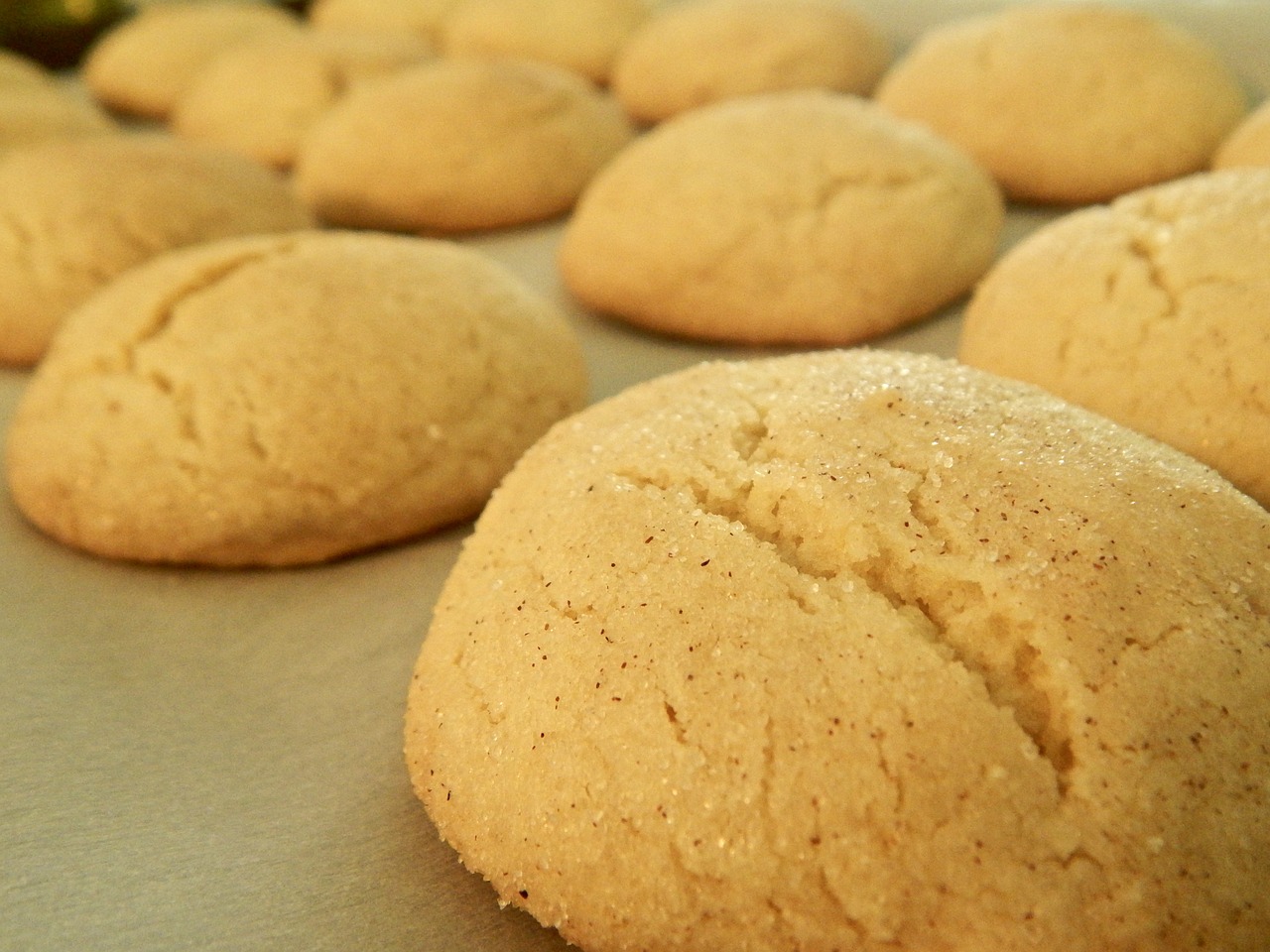 cookies snickerdoodle golden brown free photo