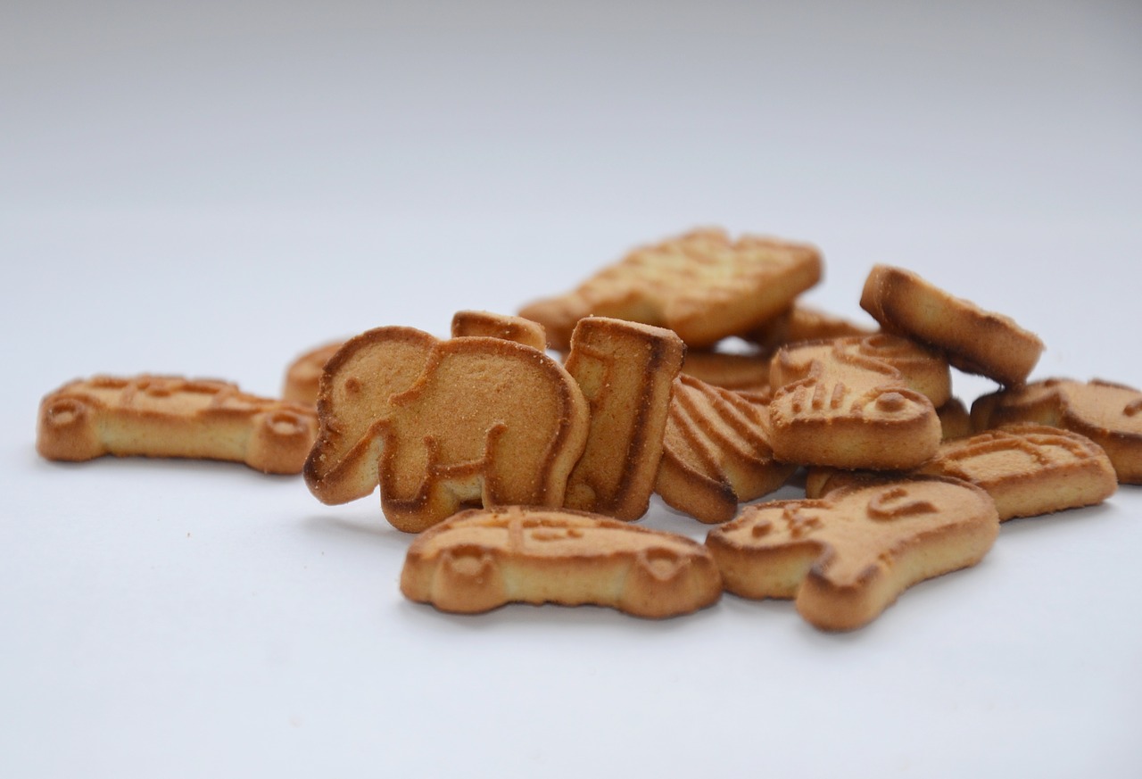 cookies elephant breakfast free photo