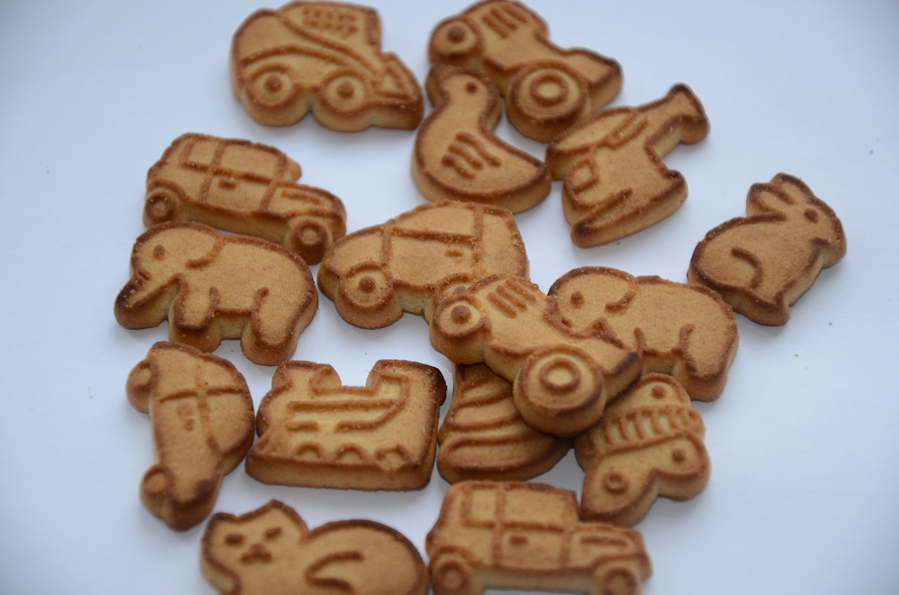 cookies elephant breakfast free photo