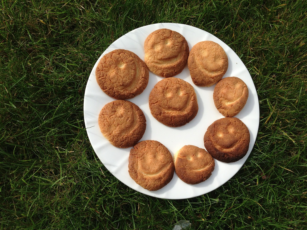 cookies smilies plate pastries free photo