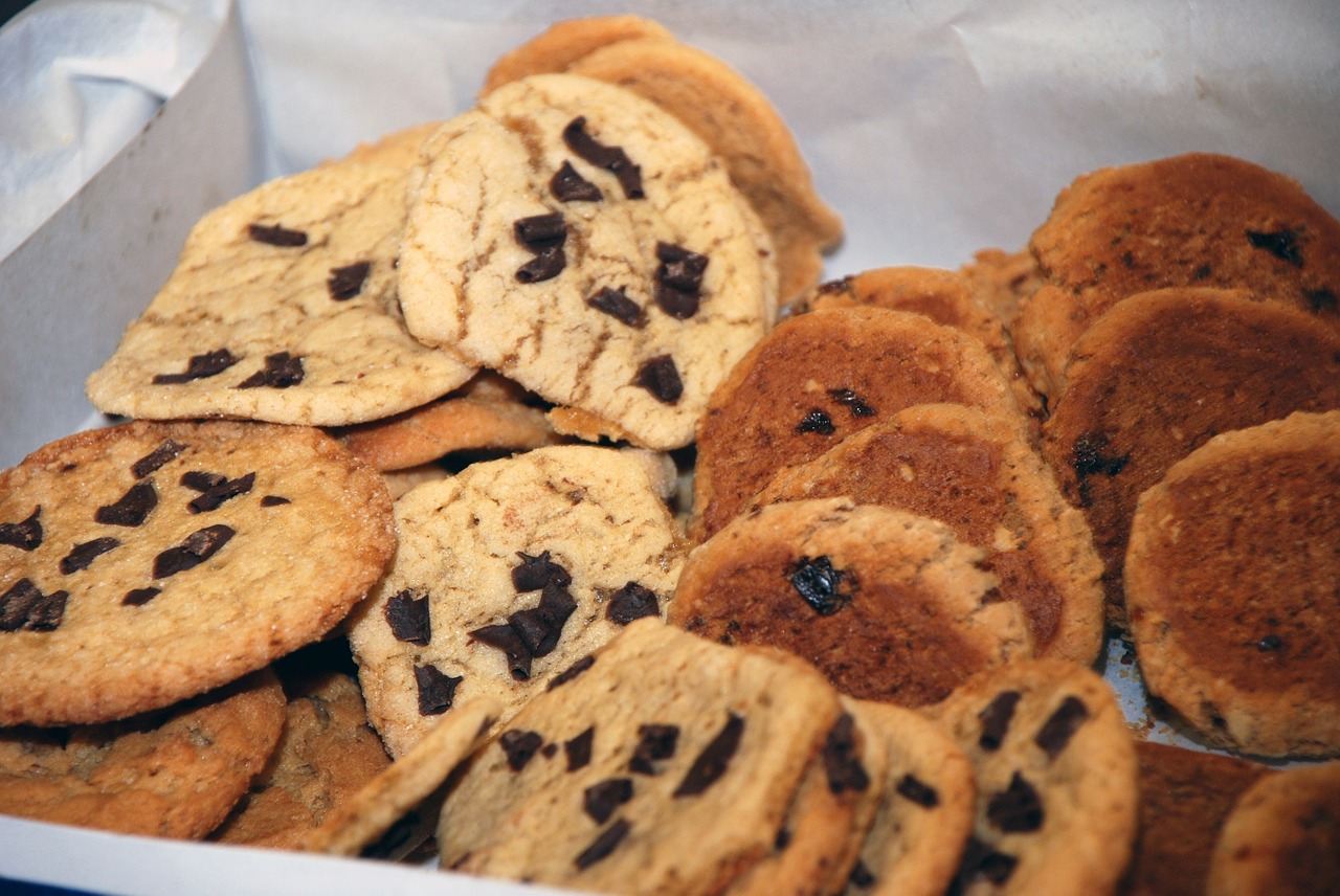 cookies chocolate chips snack free photo