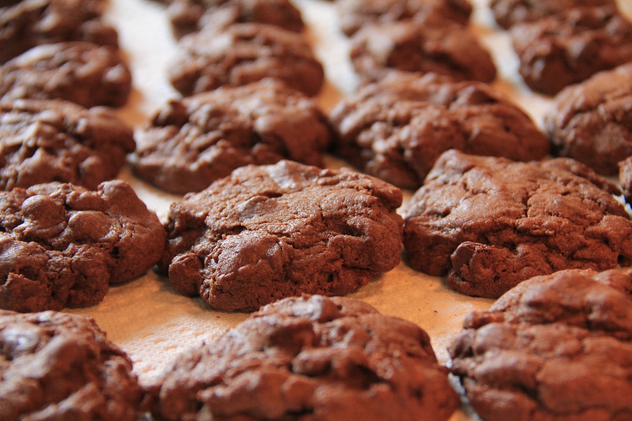 cookies chocolate baked free photo