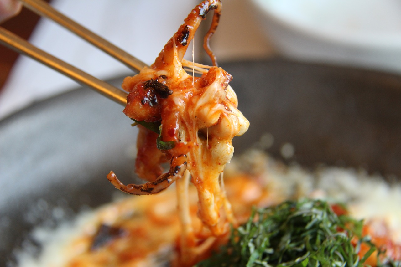 cooking octopus octopus stir cheese dish free photo