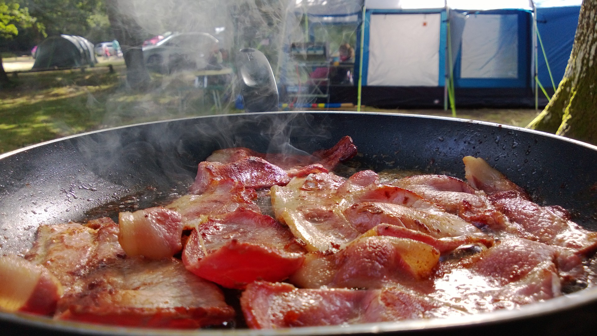 camping bacon breakfast free photo