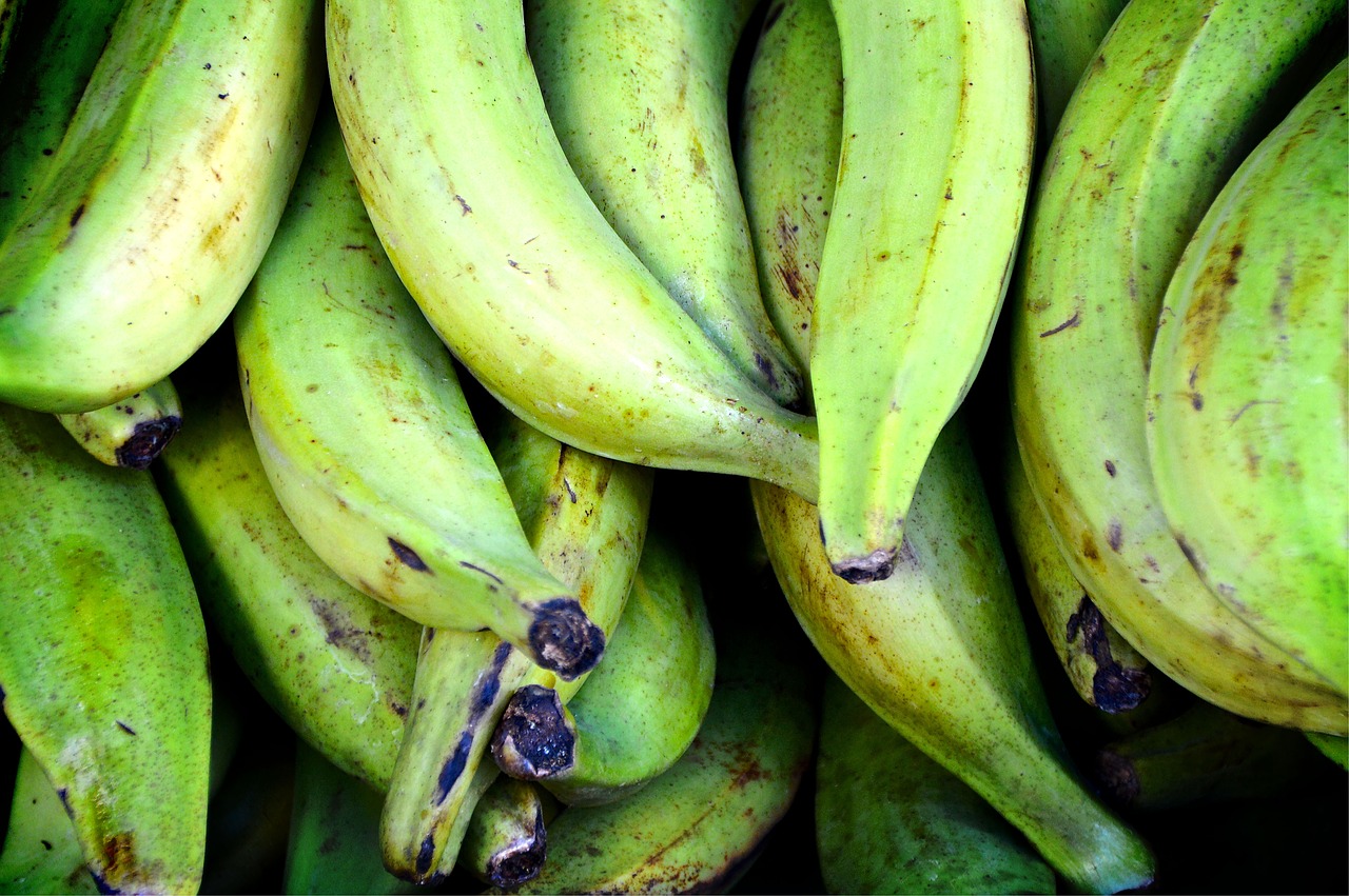 cooking bananas bananas green free photo