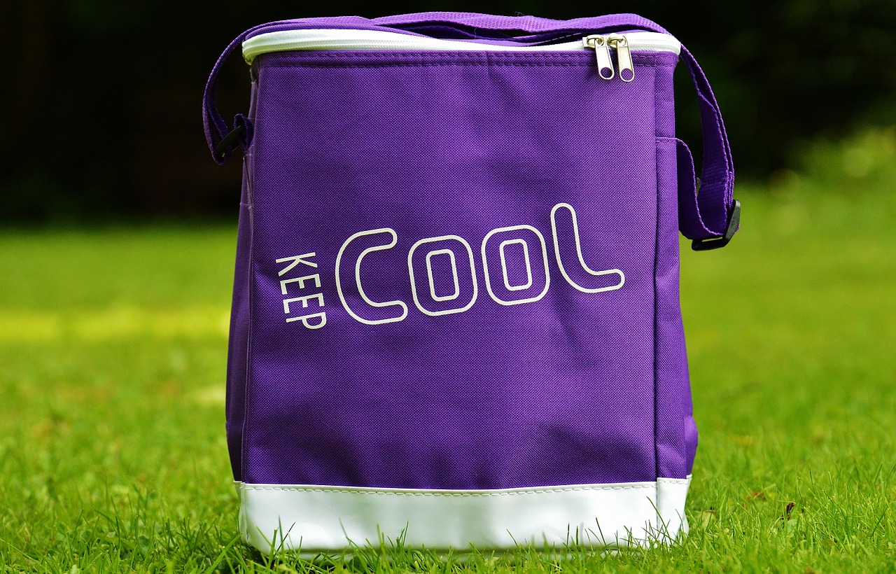 cooler bag cool coolness free photo