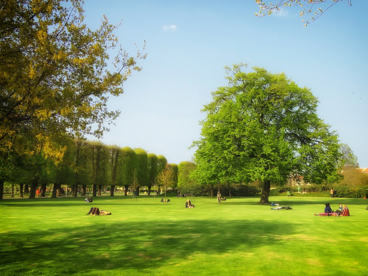 copenhagen denmark public park free photo