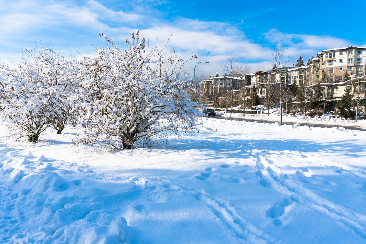 coquitlam town center park town center free photo