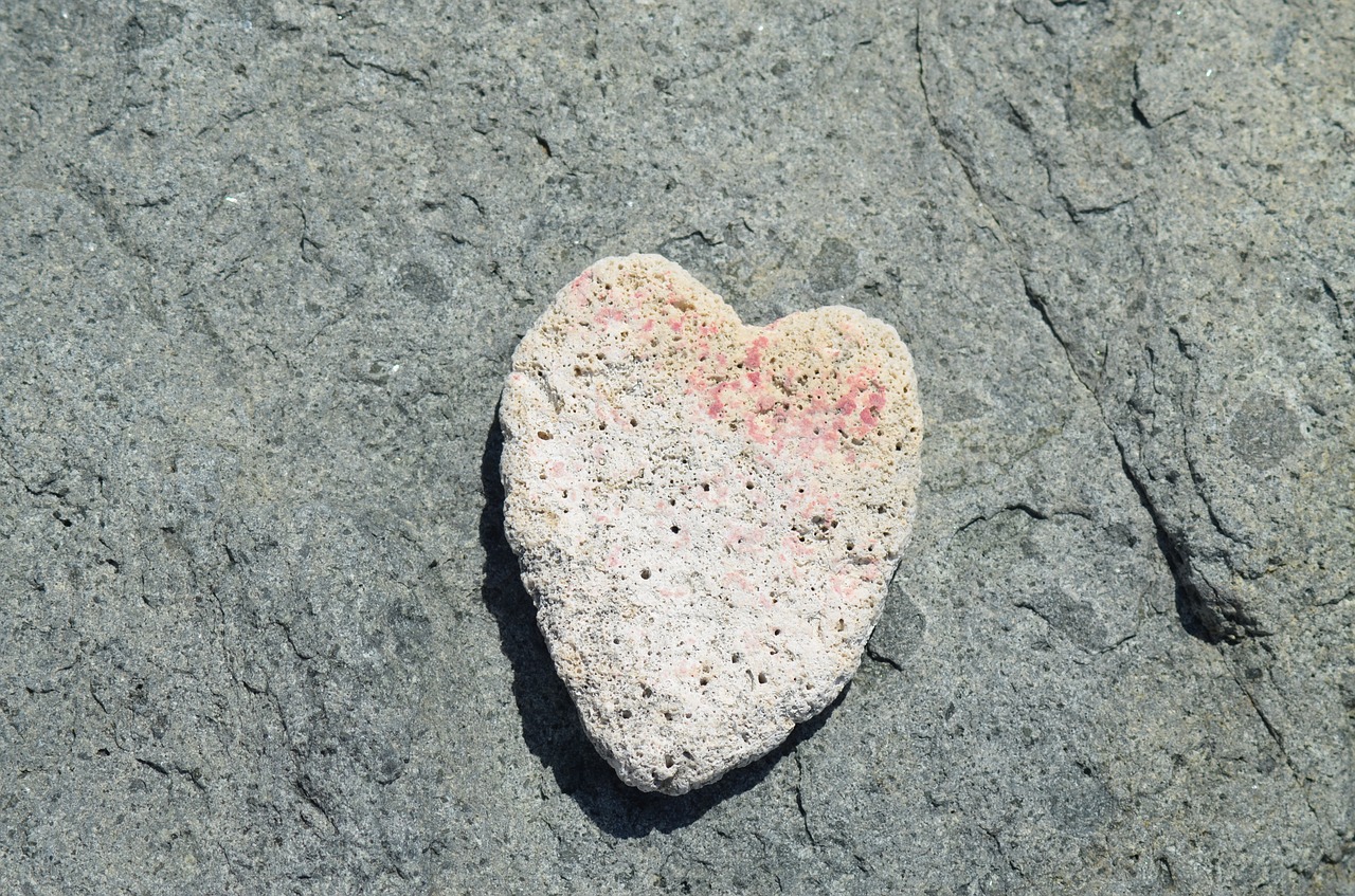 coral heart love free photo