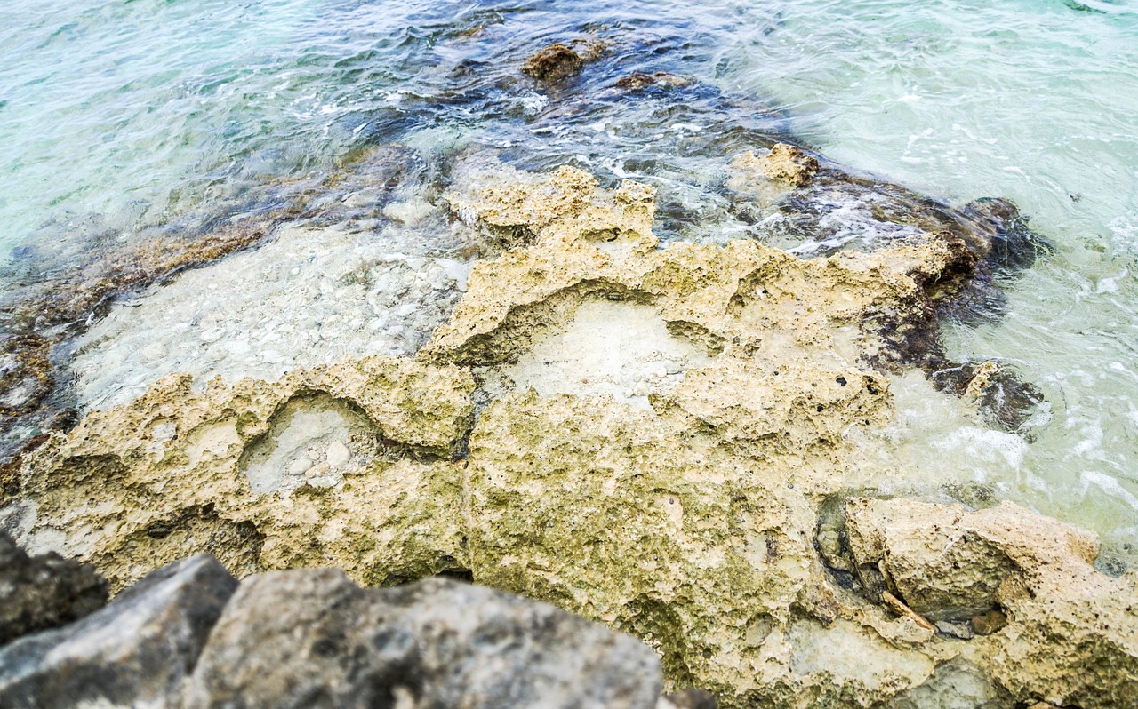 coral water rocks free photo