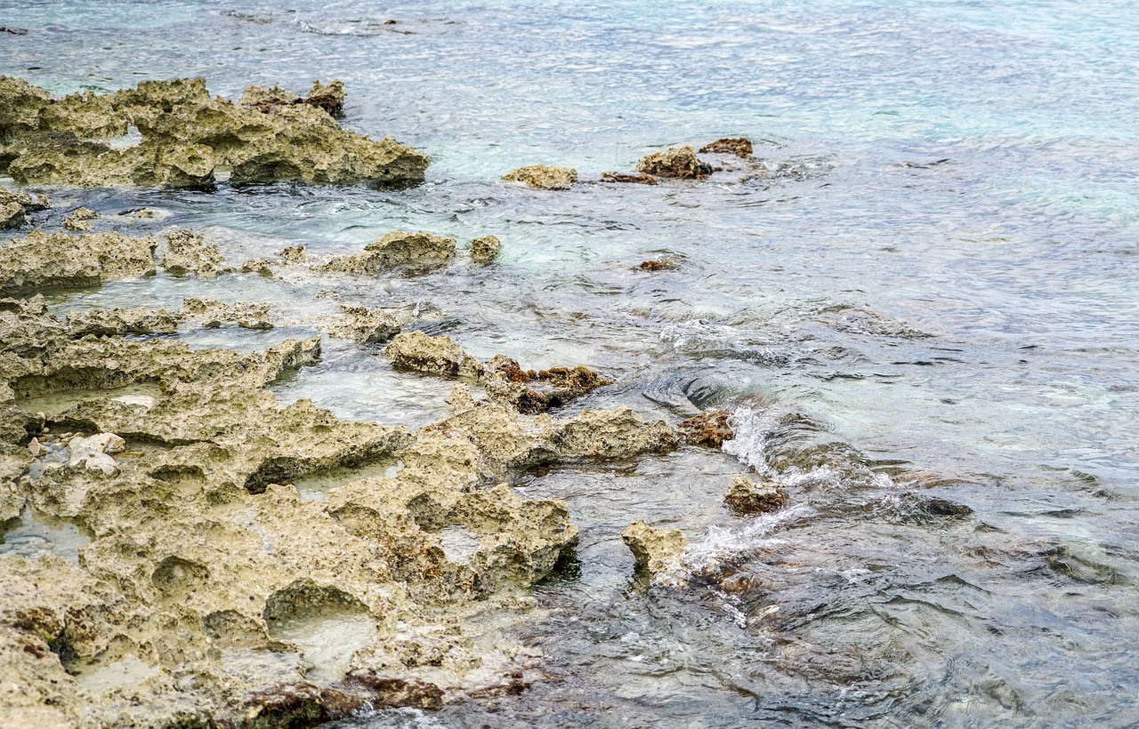 coral water rocks free photo