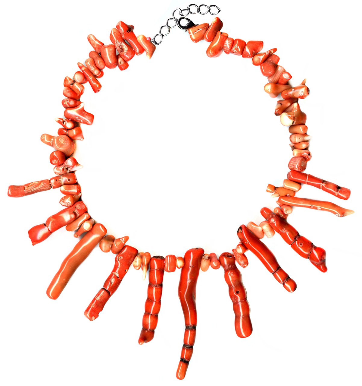 coral fossil necklace free photo