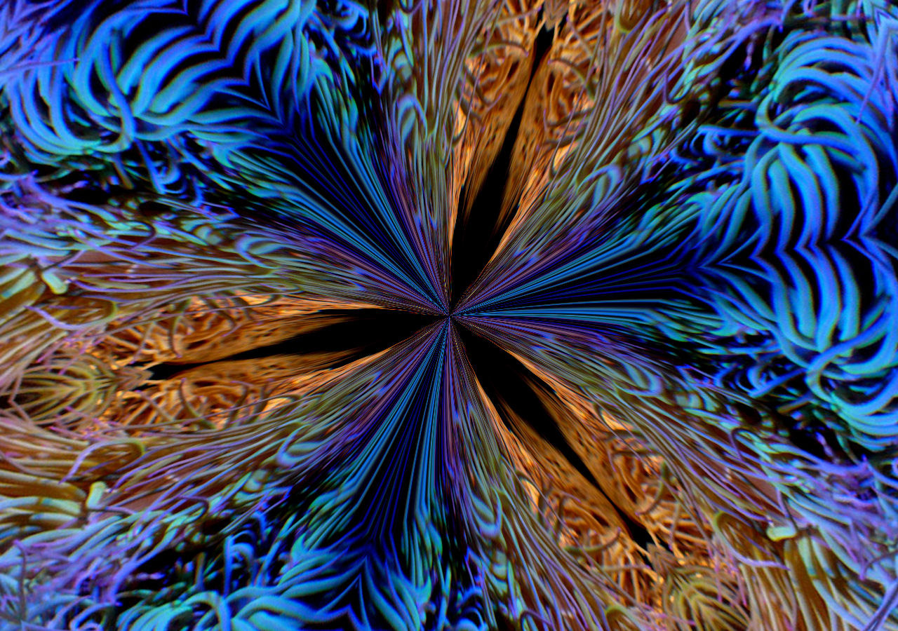 background objects coral kaleidoscope free photo