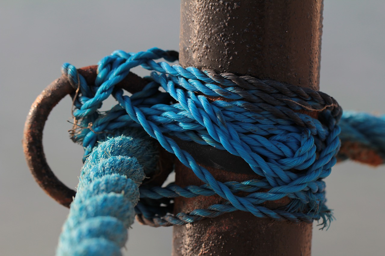 cord  knot  rope free photo